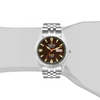 TRISTAR WATCHES BA SERIES INDEX BROWN DIAL