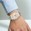 TRISTAR WATCHES NJ SERIES INDEX WHITE DIAL 2T GOLD