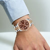 TRISTAR WATCHES RD CHOCOLATE DIAL INDEX RT